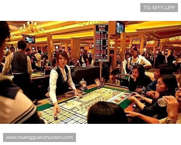 澳门的赌厅数量及其在赌博产业中的地位分析