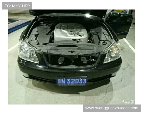 皇冠app手机下载后遇到问题怎么办，详细解决方案介绍